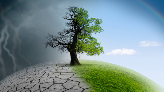 Humans and Climate change