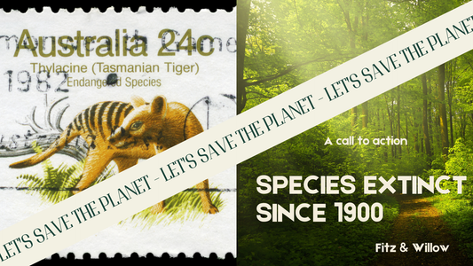 The Disappearing Act: Species Extinction Since 1900