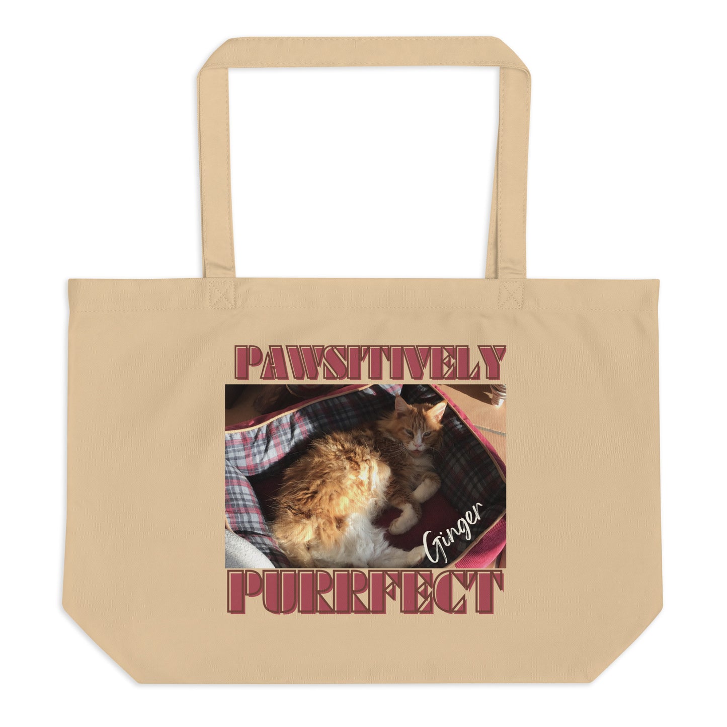 My Cat Ginger, Large organic tote bag - Fitz & Willow