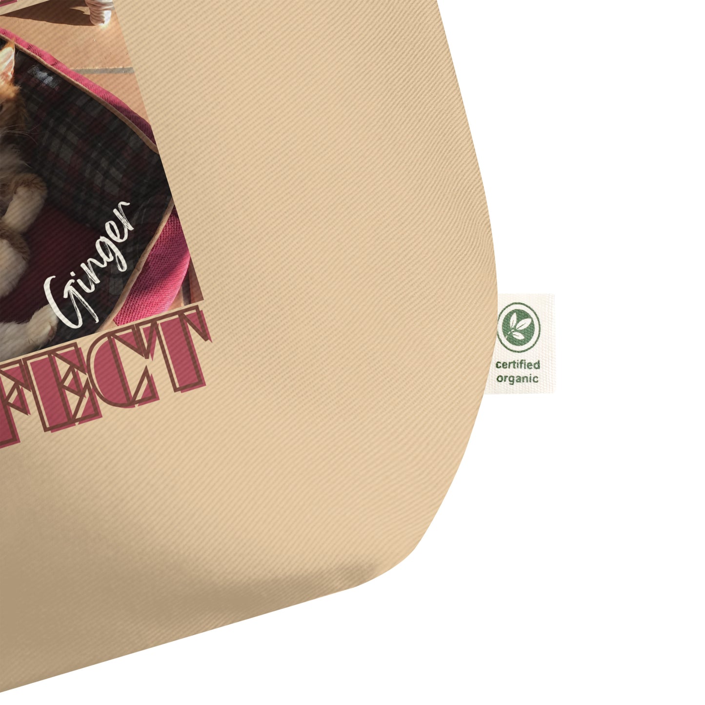My Cat Ginger, Large organic tote bag - Fitz & Willow