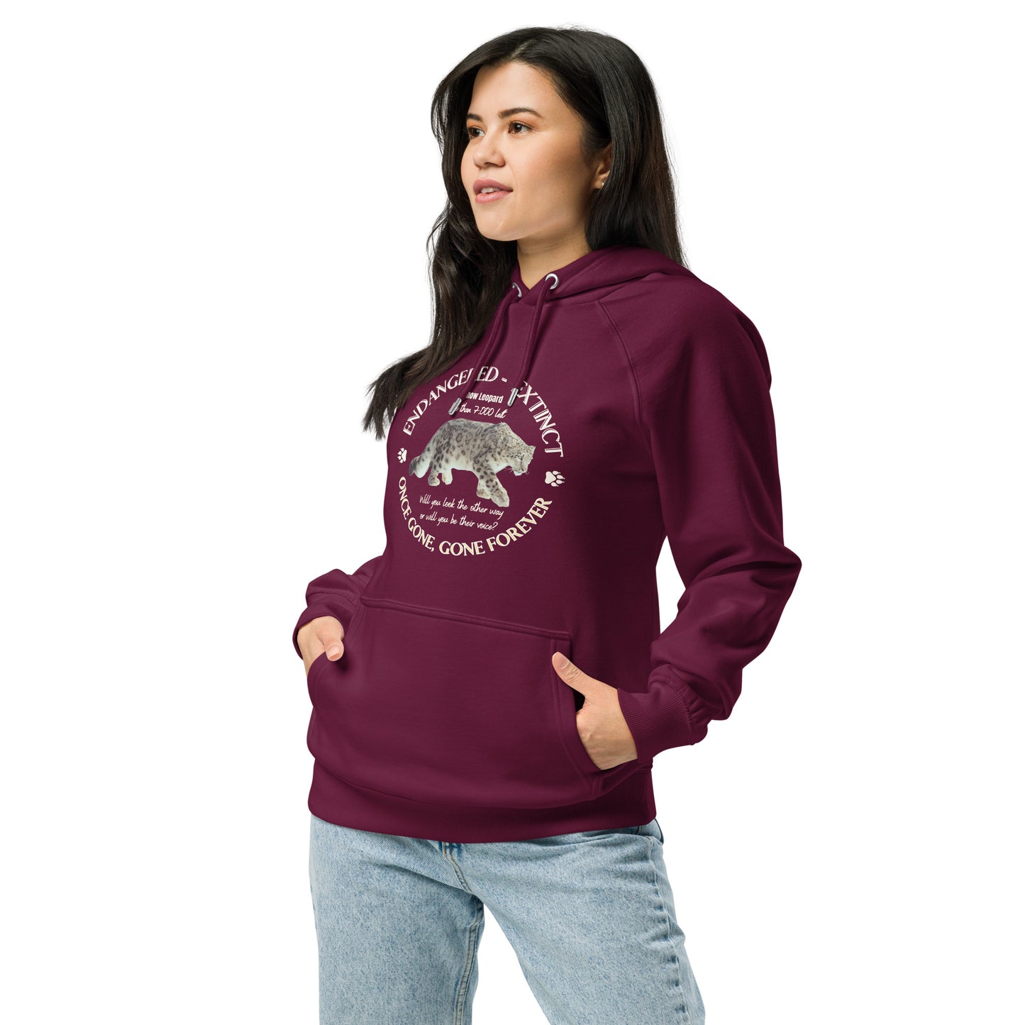 Save Snow Leopard, Unisex raglan hoodie - Fitz & Willow
