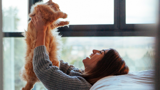 Ultimate Guide to Cat Care: Everything You Need to Know