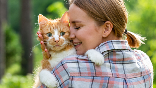 Do cats need human love to be fully satisfied?