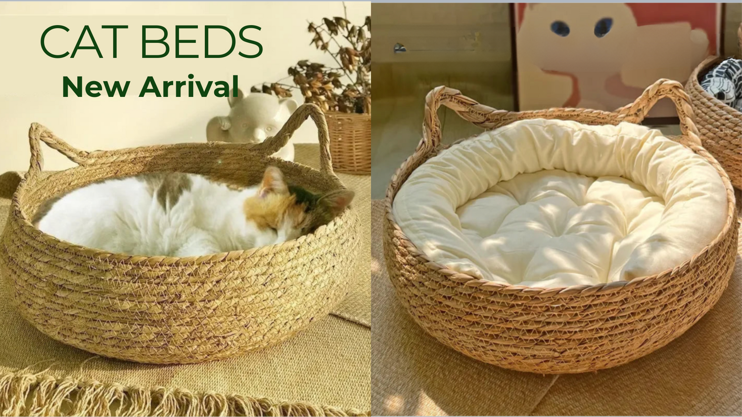 Fitz & Willow, eco-friendly cat beds