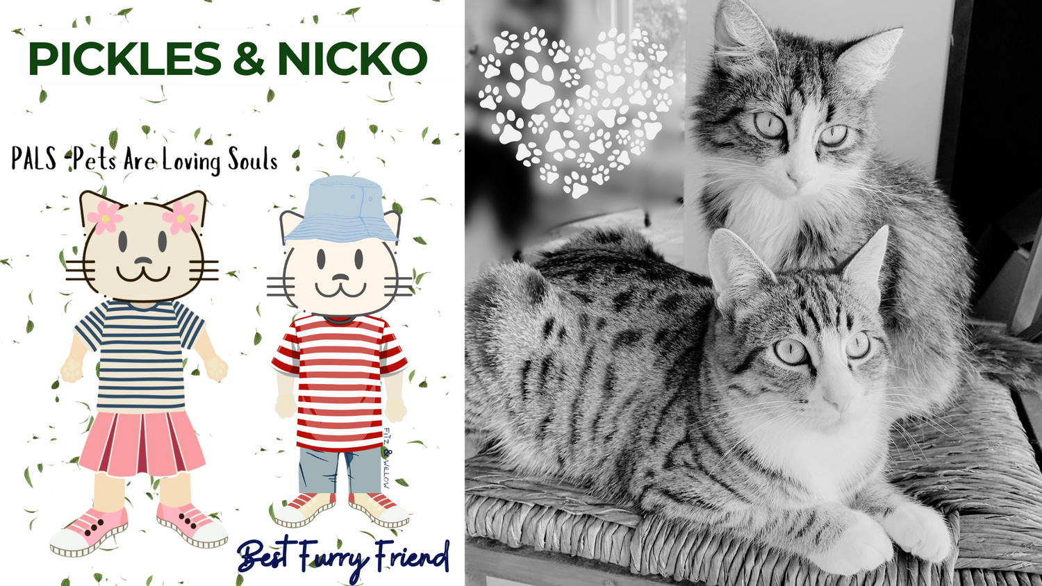 Pickles & Nicko, Fitz & Willow’s collection dedicated to our two late beloved cats