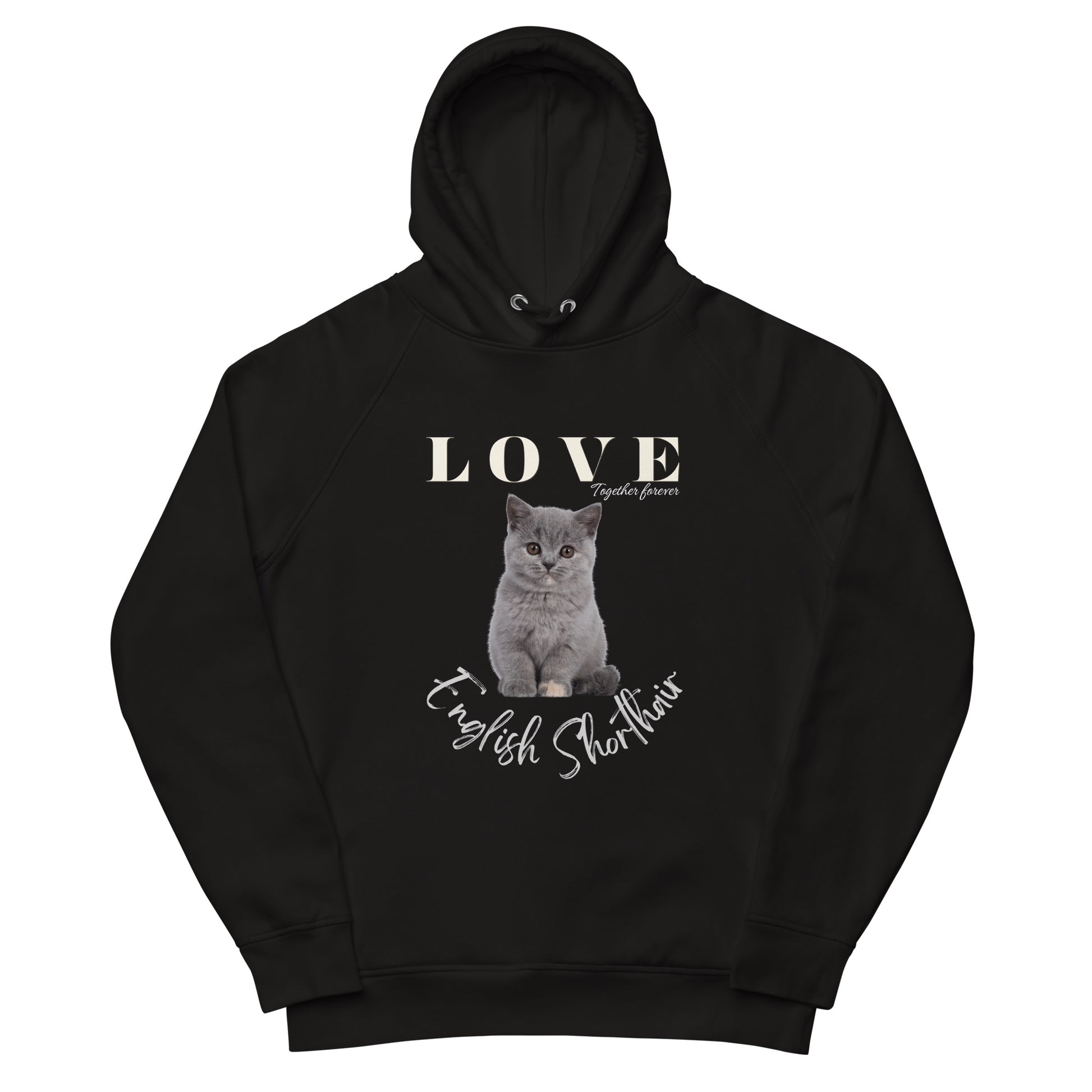 British Shorthair, Unisex pullover hoodie - Fitz & Willow