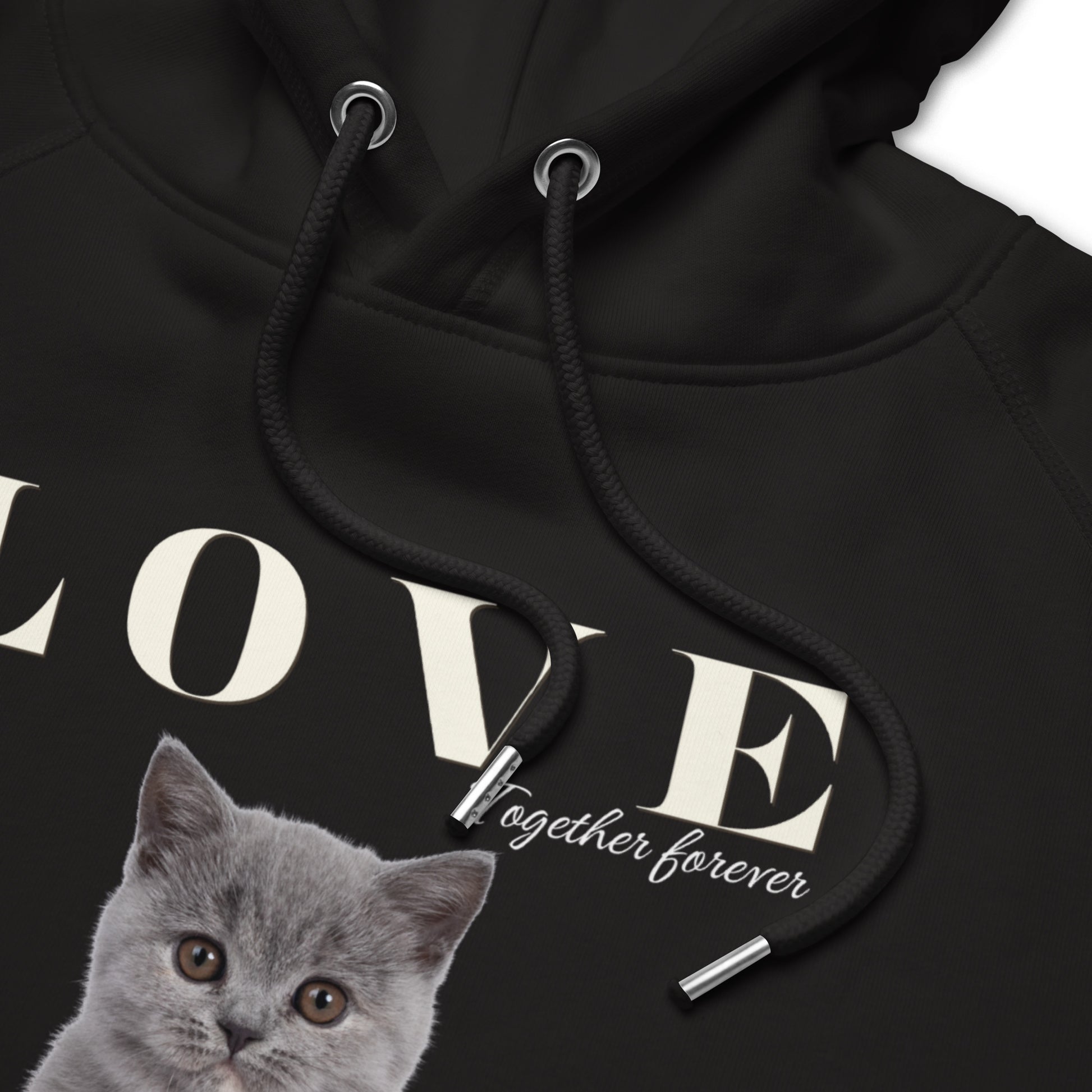 British Shorthair, Unisex pullover hoodie - Fitz & Willow