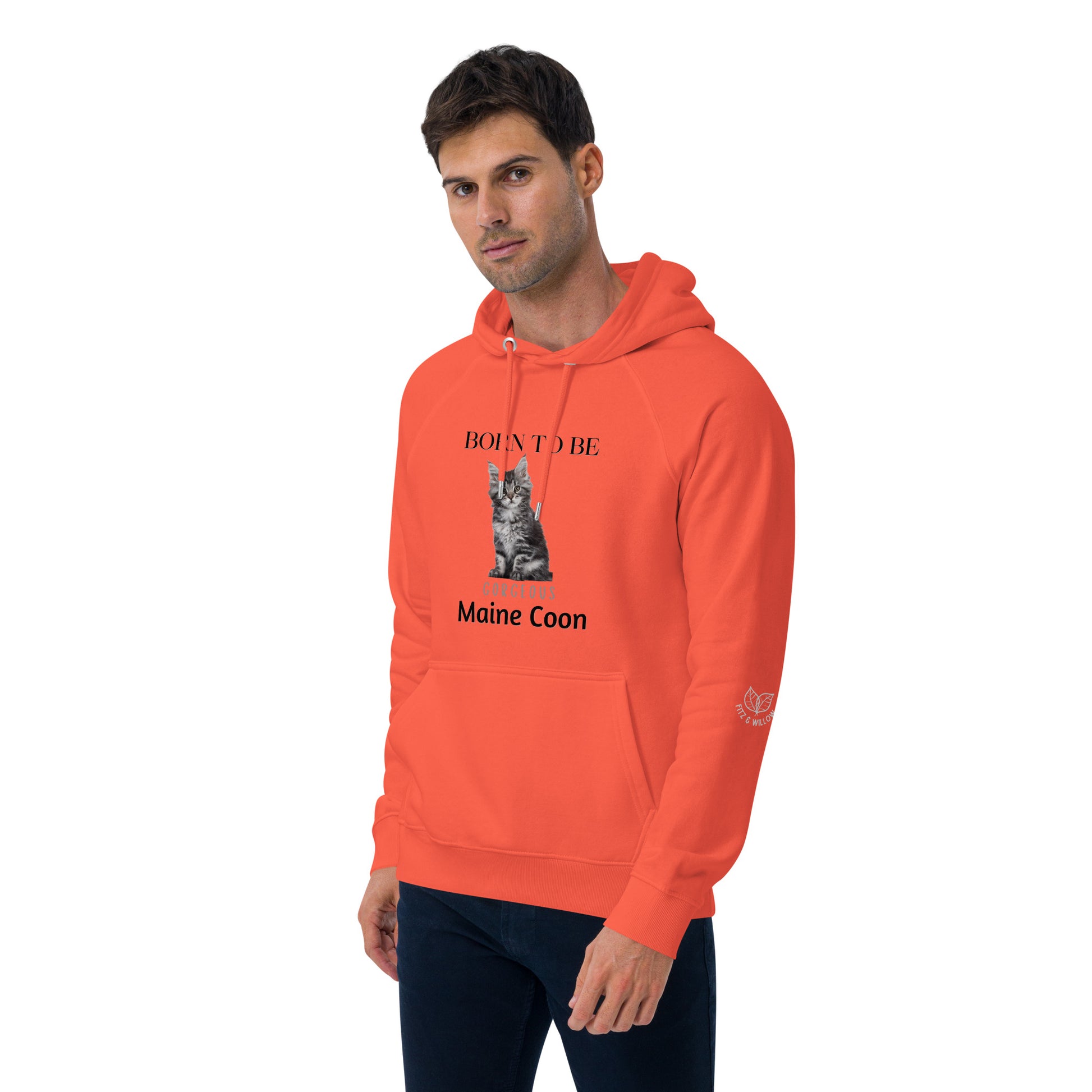 Maine Coons, Unisex raglan hoodie - Fitz & Willow