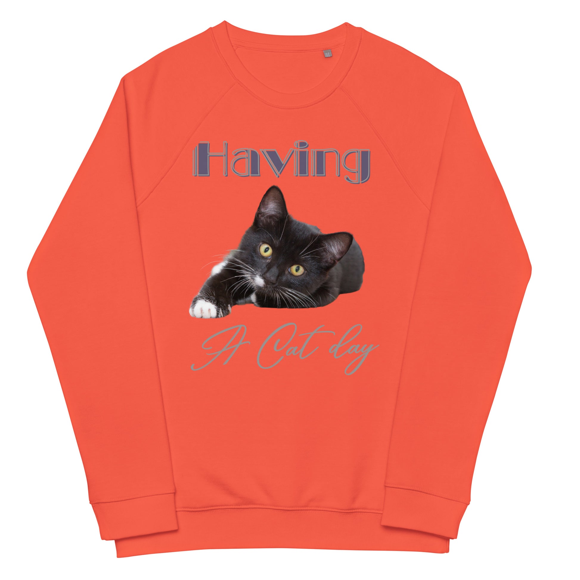 Cat Lovers sustainable sweatshirt - Fitz & Willow