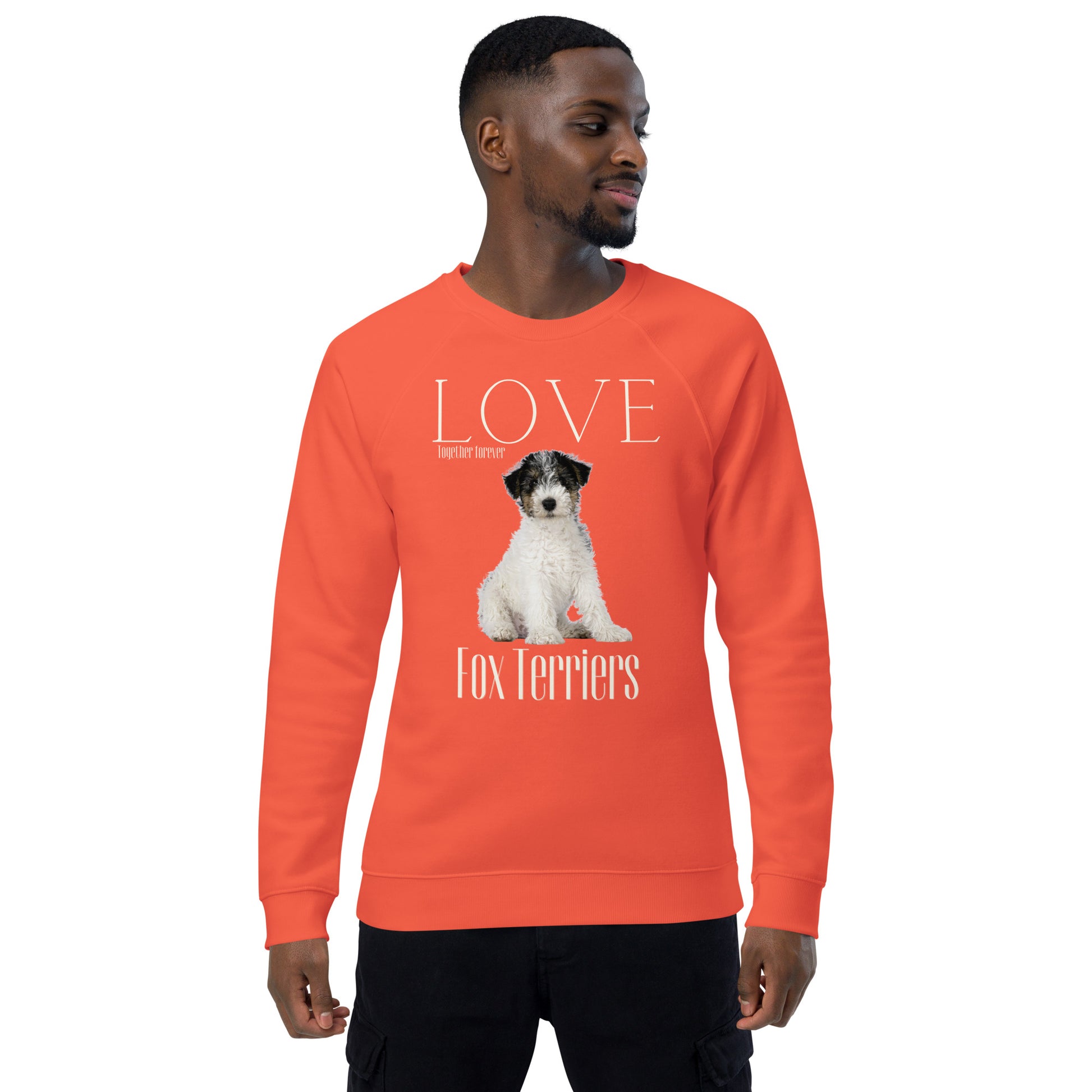 Fox Terrier organic sweatshirt - Fitz & Willow