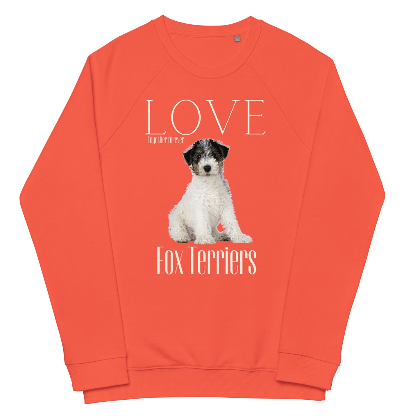 Fox Terrier organic sweatshirt - Fitz & Willow