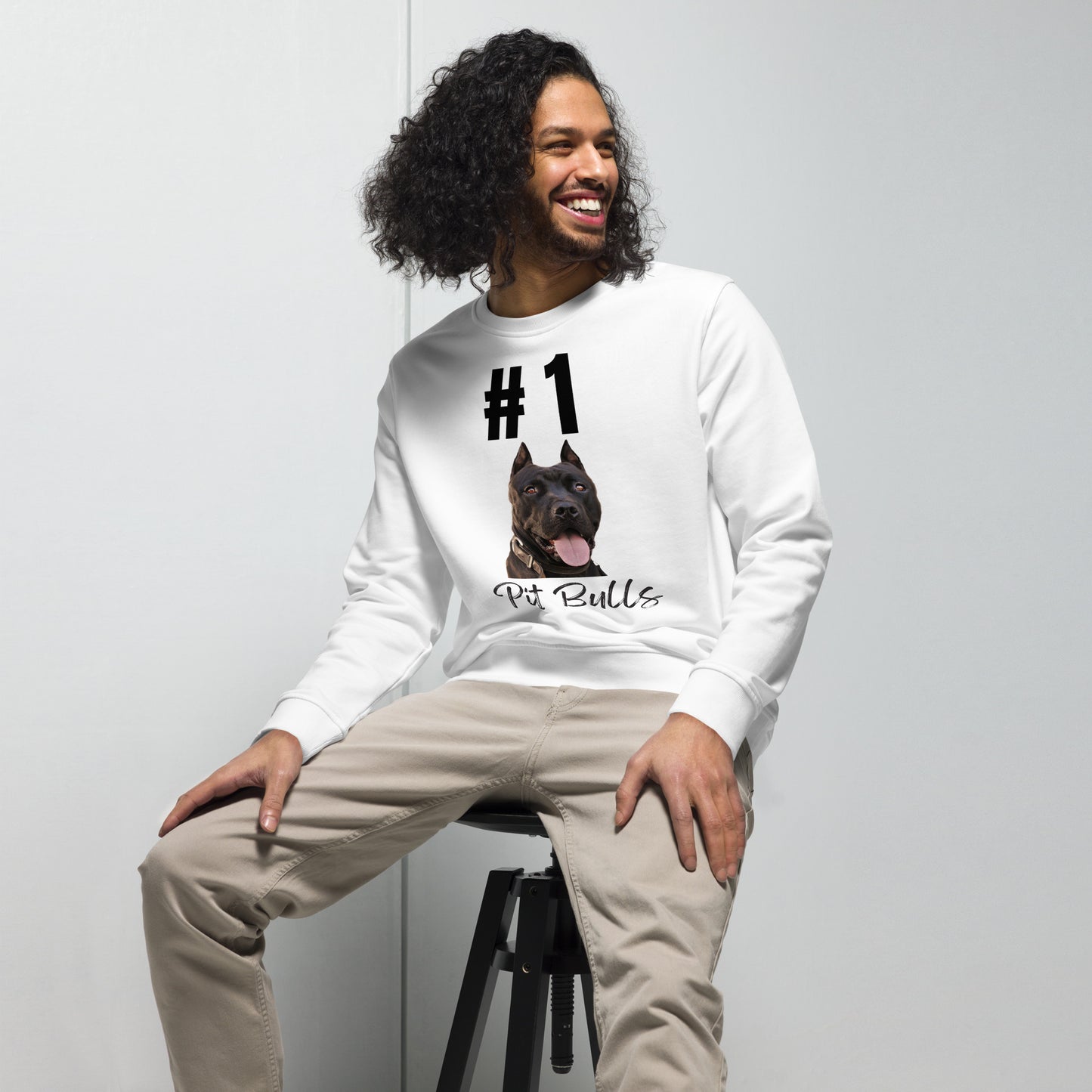 Pit Bull lover sustainable sweatshirt - Fitz & Willow