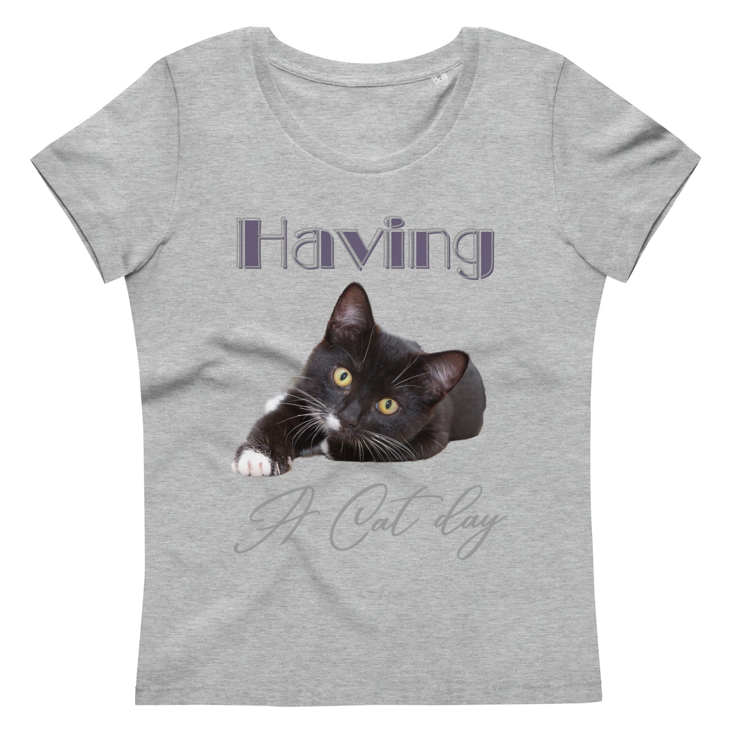 Women's fitted eco tee Cat day - Fitz & Willow - Fitz & Willow